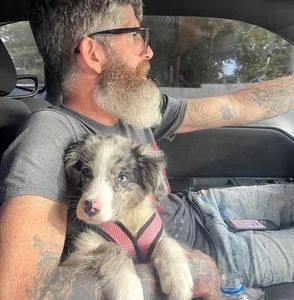 Meet your Posher, William